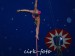 SAM_3195