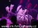 SAM_1181
