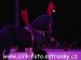 SAM_1205